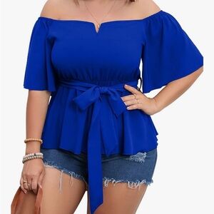 Elegant Blue Women's Top